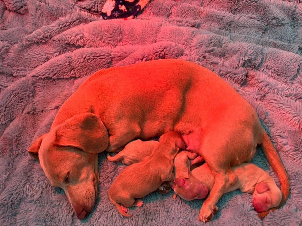 All Photos for Falls Property Services  in Idaho Falls, ID