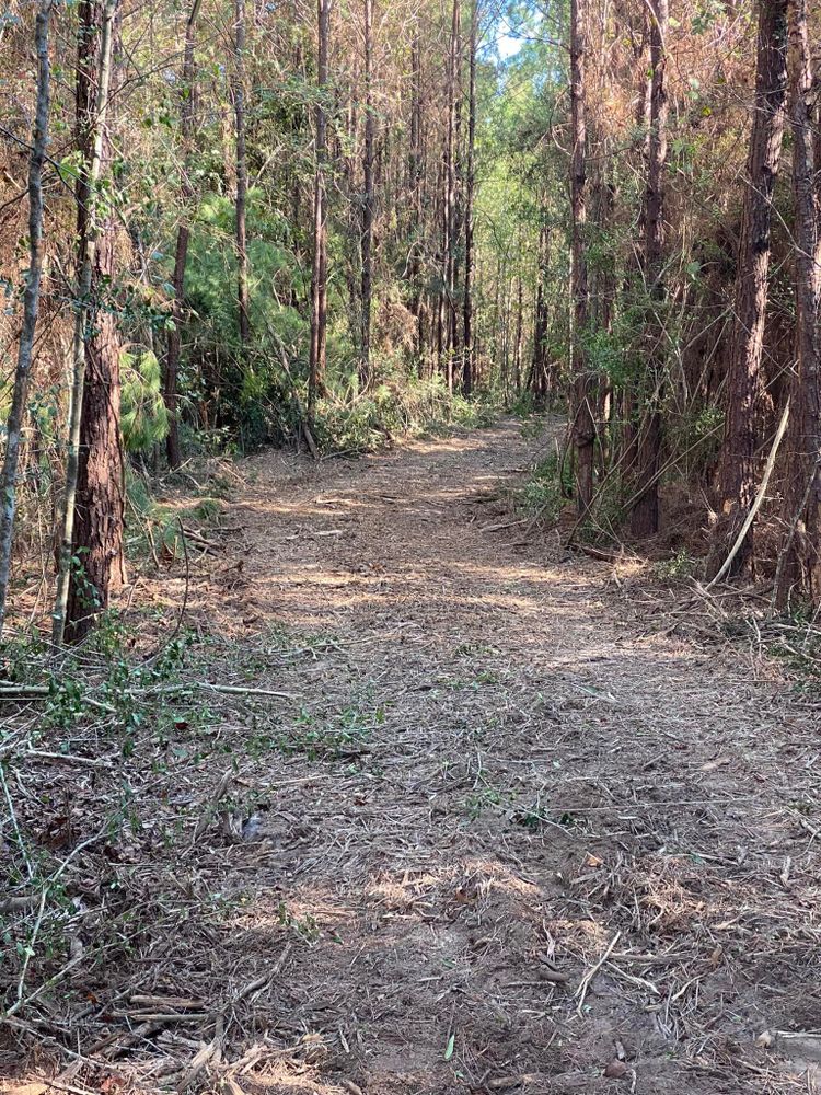 Land Clearing for South Mississippi Land Management LLC in Columbia, Mississippi