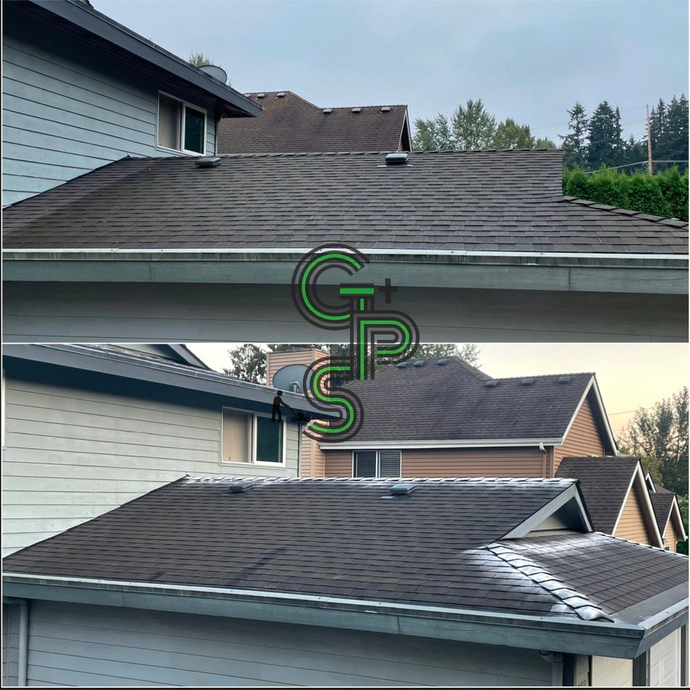 Roof and Gutter Cleaning for Golovin Property Services LLC in Marysville, WA