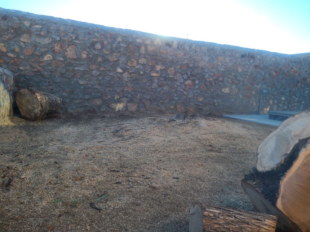 Residential Tree & Shrub Removal for ADM Landscaping & Irrigation LLC in El Paso,  TX