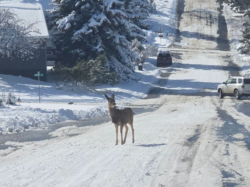 All Photos for Eagle Bay is Proud to Transition to Augusta Lawn Care of Helena in Helena, MT