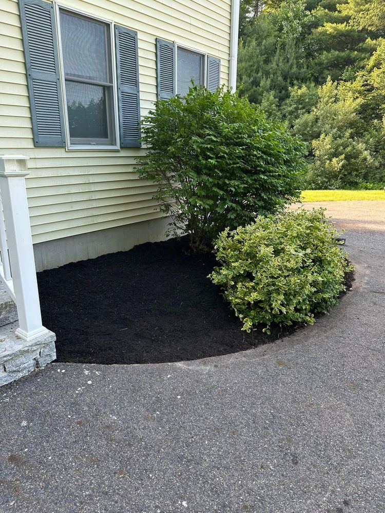 All Photos for Silver City Tree and Landscape in Taunton, MA