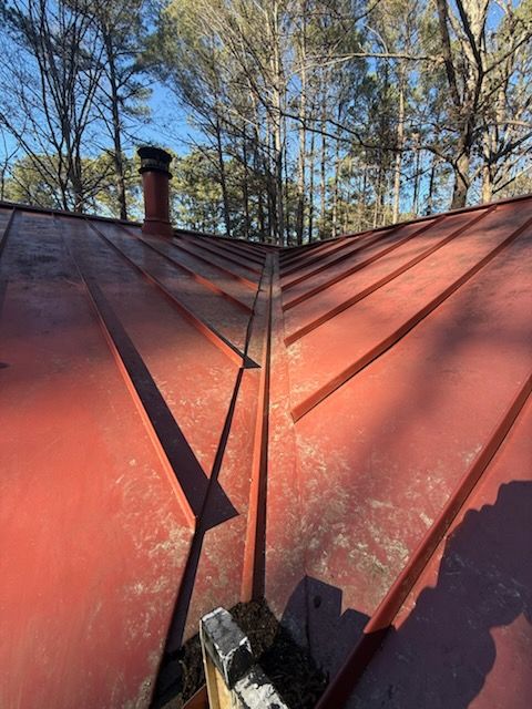 All Photos for Healthy Roots Landscaping in Apex, NC