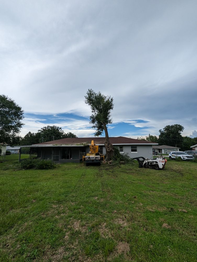 All Photos for Regal Tree Service and Stump Grinding in Wauchula, FL