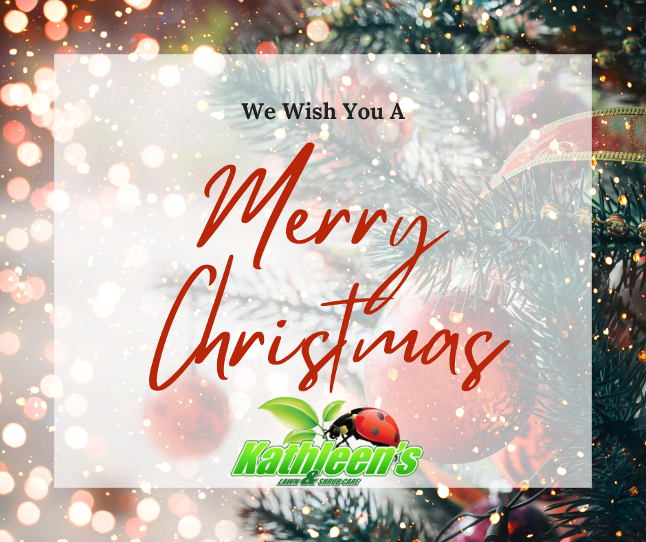 All Photos for Kathleen's Lawn & Shrub Care in Augusta, GA