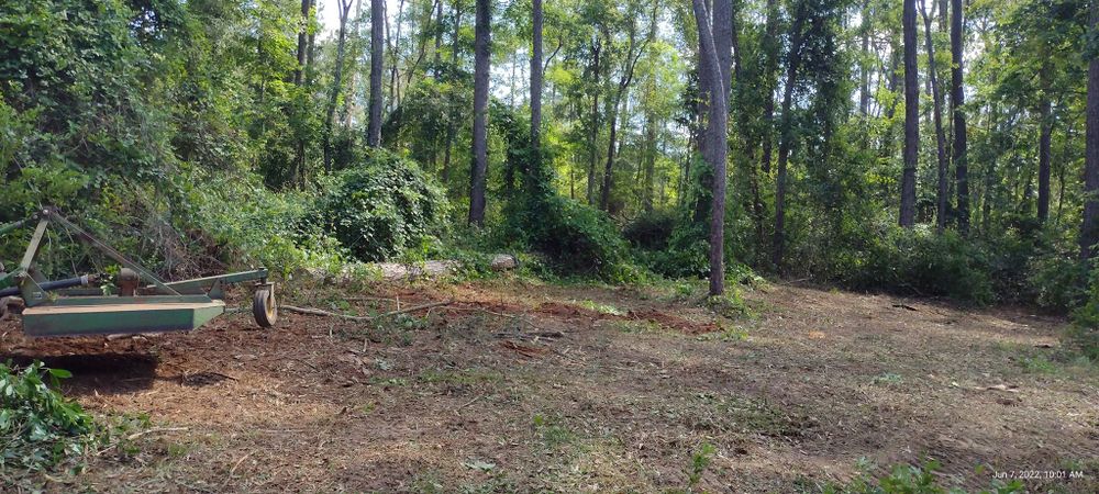 Looking for reliable bush hogging near me? Our expert team offers efficient land clearing, helping to maintain your property’s beauty and safety by removing overgrown vegetation with precision and care. for Southern Venom Services in Daphne, AL