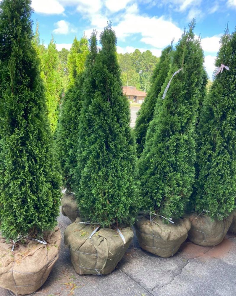 All Photos for S&R Landscaping and Nursery in Charlotte, NC