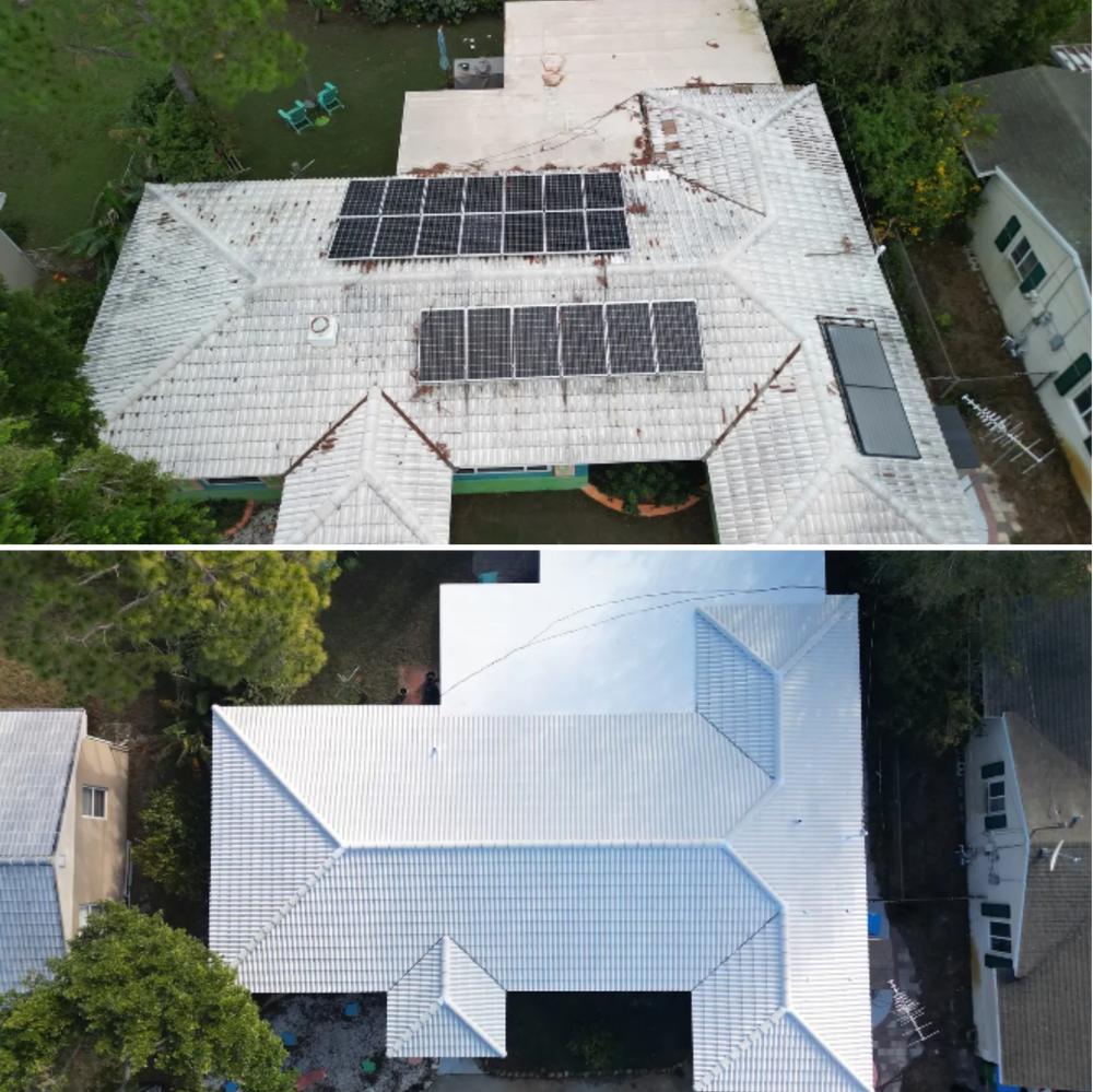 All Photos for I NEED A ROOF in Tampa, Florida