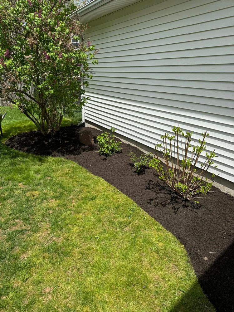 All Photos for Adams Landscaping in Springfield, MA
