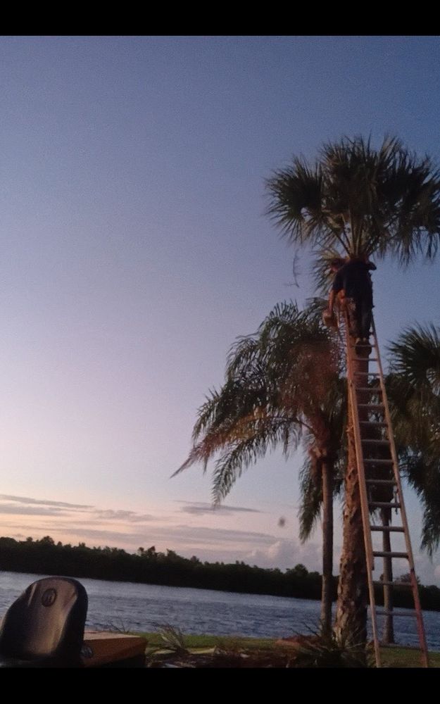 All Photos for Alpha Trees Service and Property Management in Port Charlotte, FL