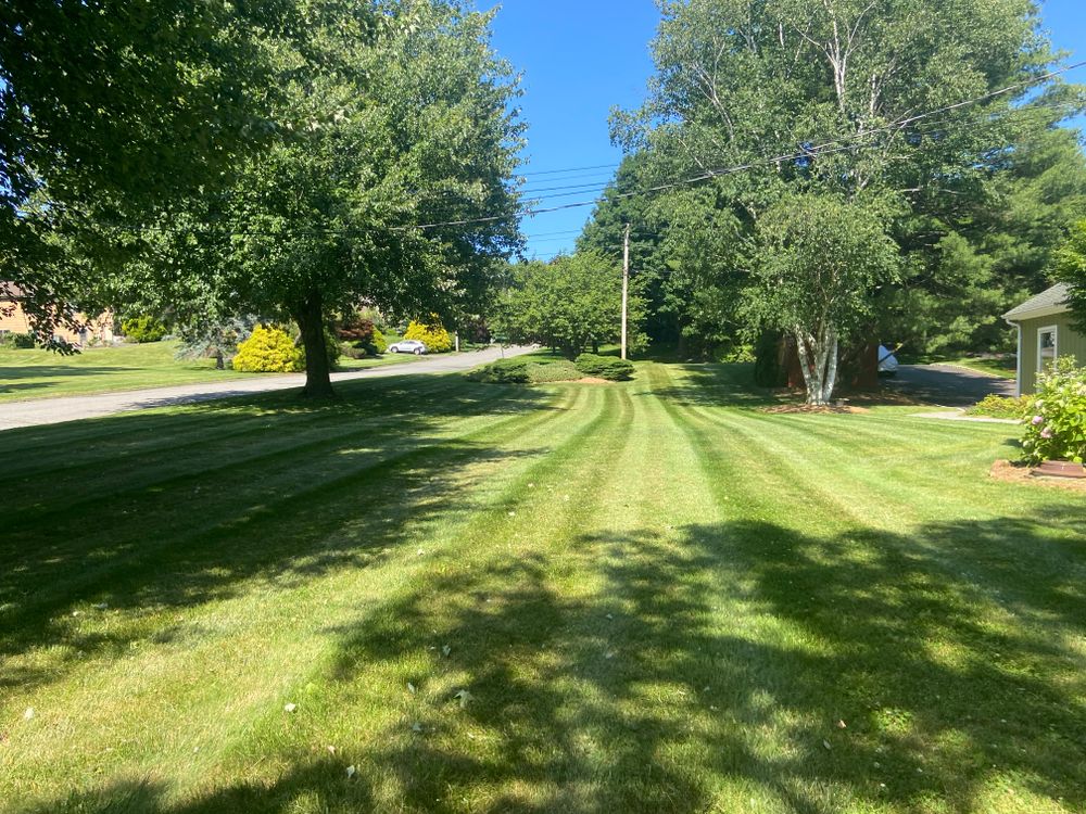 Lawn Maintenance  for Ace Landscaping in Trumbull, CT