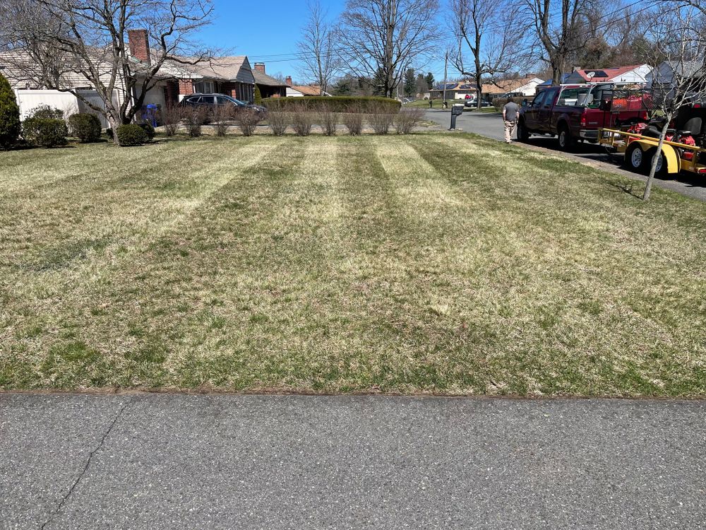 All Photos for Adams Landscaping in Springfield, MA