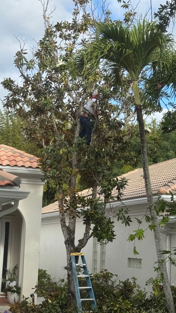 All Photos for South Florida Terra Systems in Boca Raton, FL