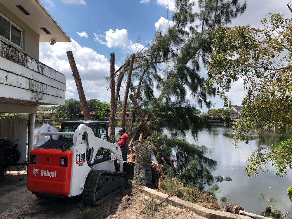 Disaster for Sam's Tree Service in Miami Beach,  FL