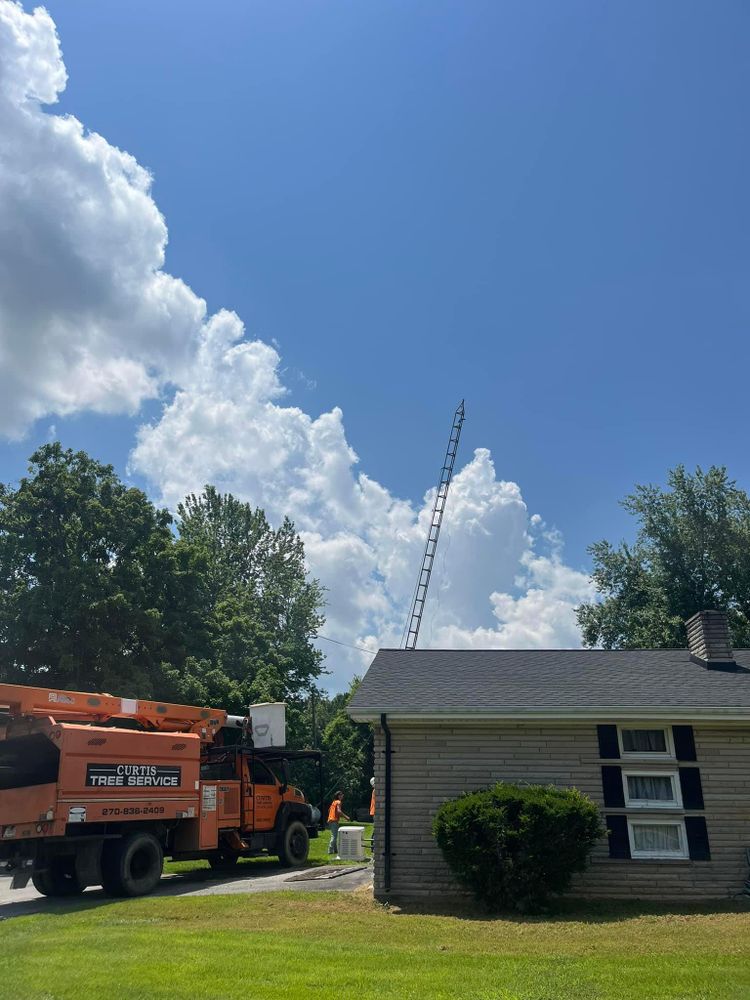 All Photos for Curtis Tree Service LLC in Hopkins County, KY