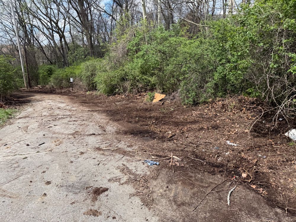 All Photos for A1 Bush Hogging & Lawn Service in London, OH