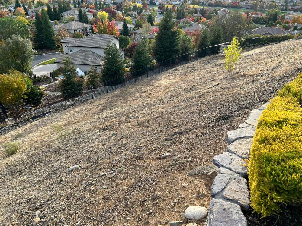 Fall and Spring Clean Up for Folsom Lake Landscaping in El Dorado Hills, CA