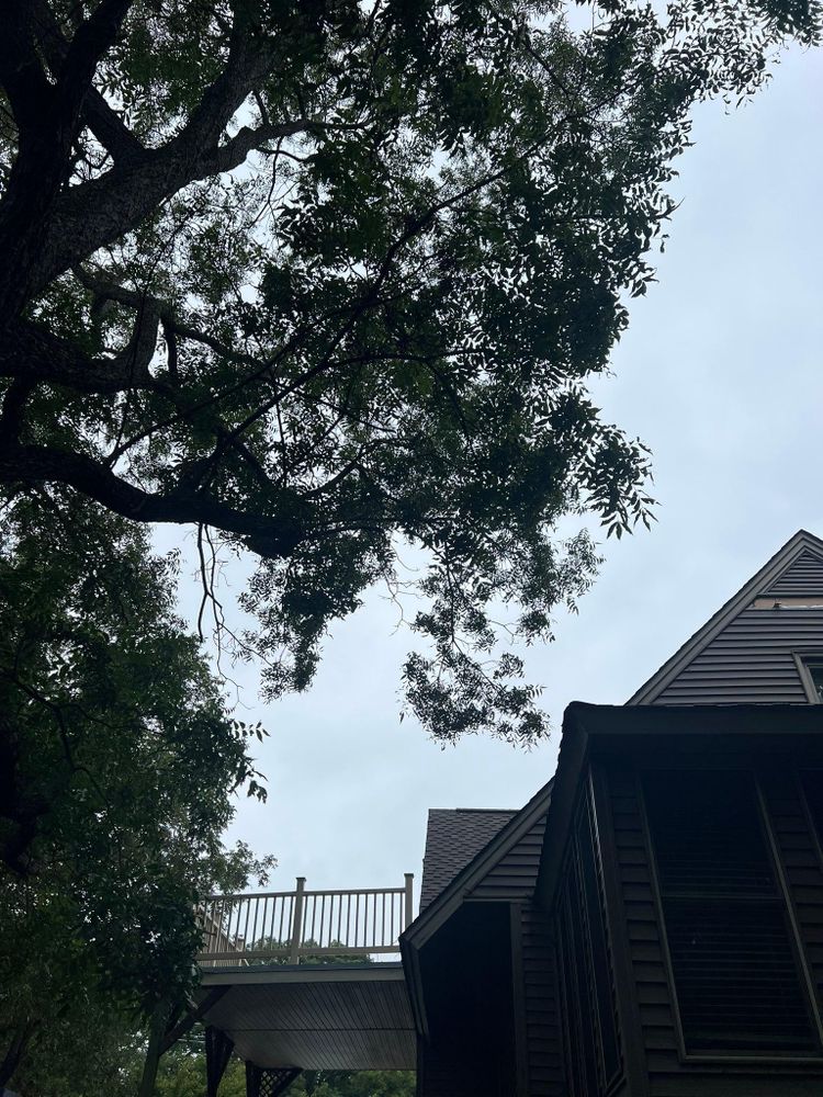 All Photos for Brooks Tree Service in Casar, NC