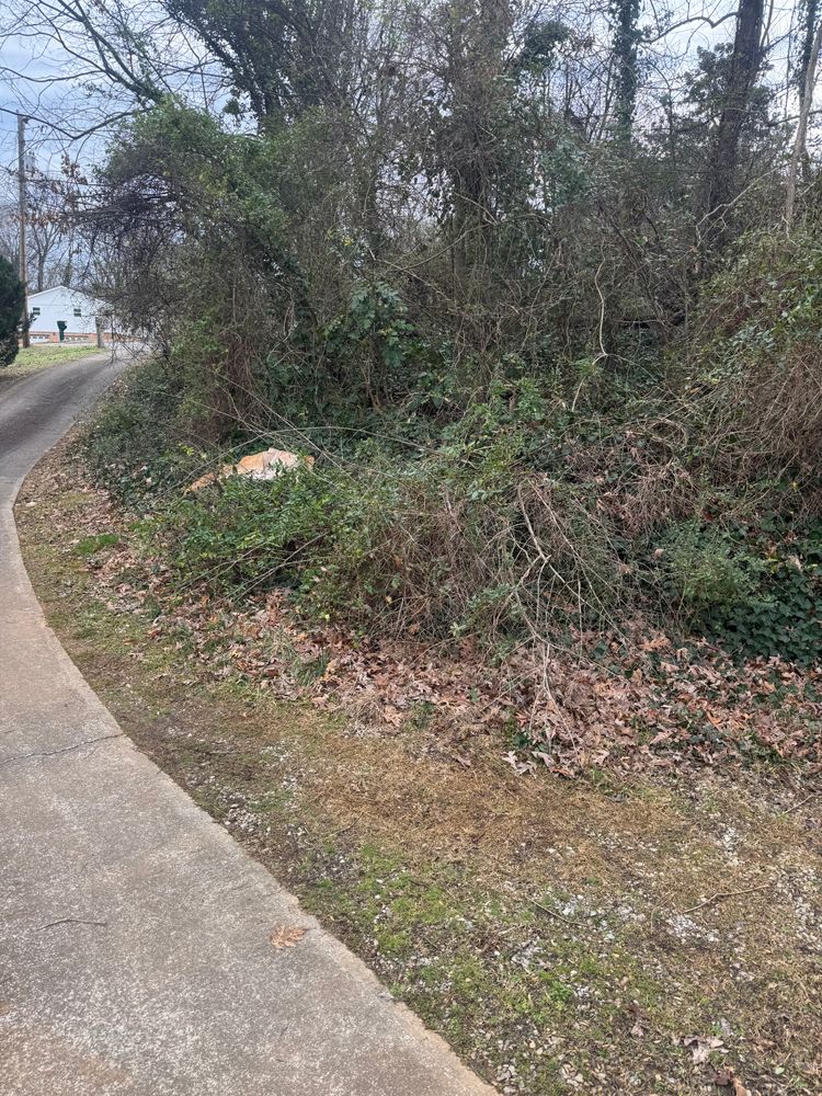 All Photos for R&M Property Maintenance in White Pine, TN