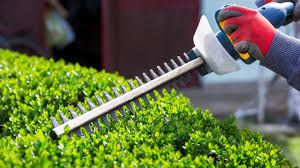 Enhance your property's beauty with our professional hedge trimming service, ensuring neat and well-shaped hedges that complement your landscape, promote healthy growth, and elevate your home's curb appeal. for Mello's Lawn Care in Fayetteville, NC