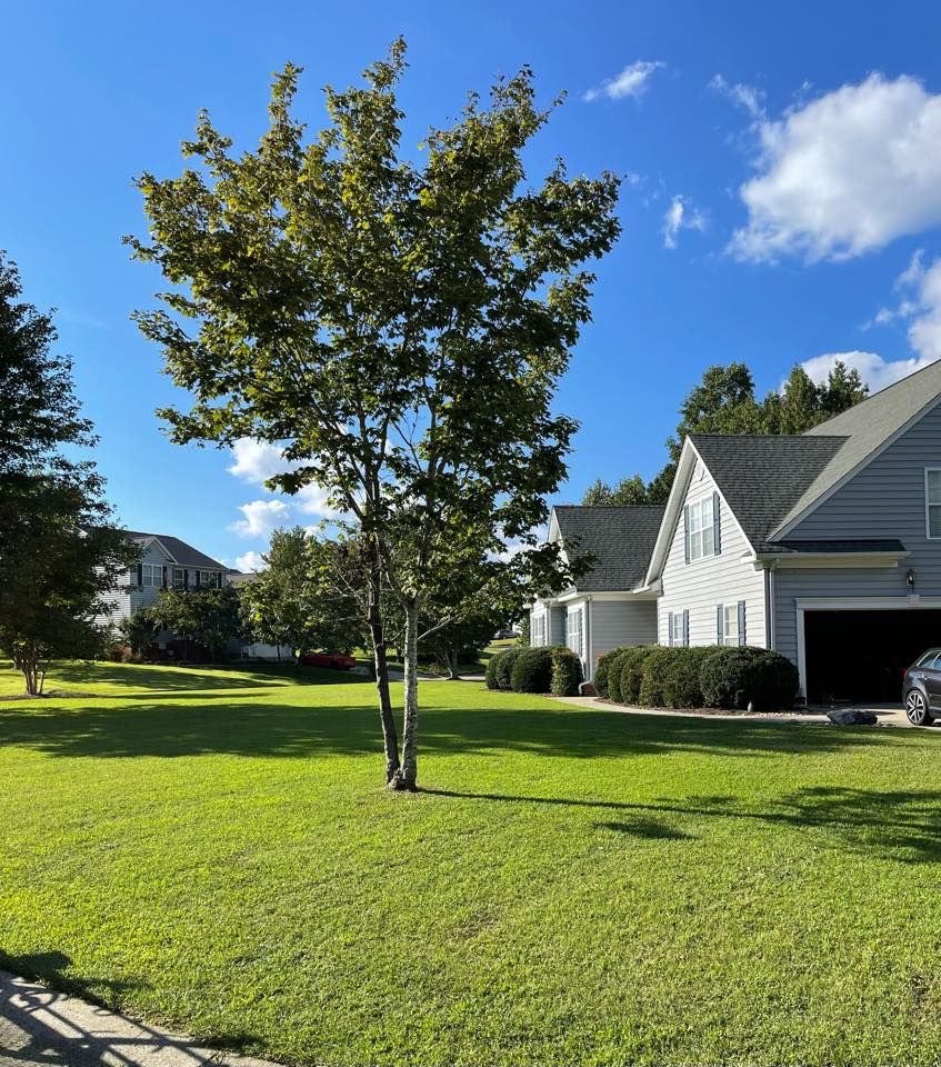 All Photos for Lewis Oaks Landscaping in King and Queen County, VA