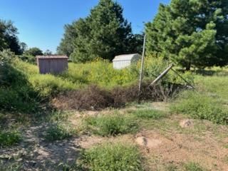 All Photos for Oviedo Land & Garden in Bastrop, TX