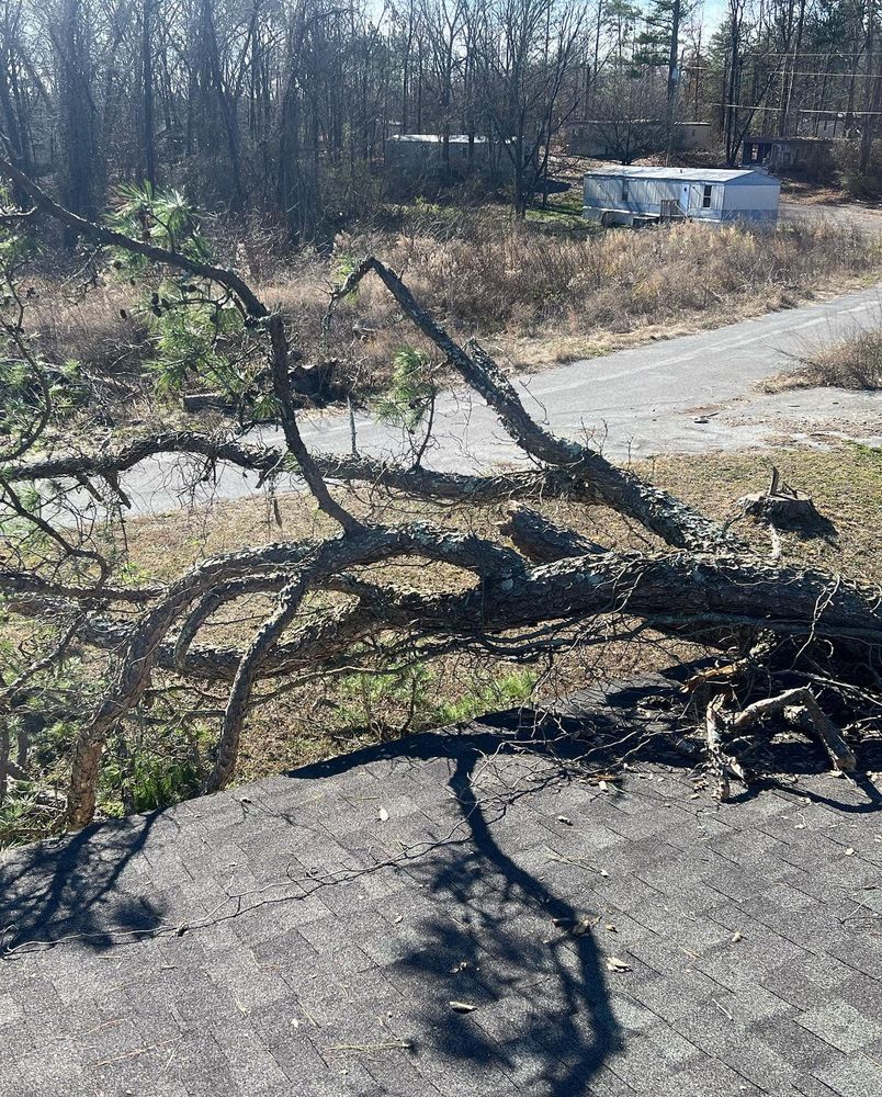 Enhance your landscape with our expert Shrub Trimming service, which ensures healthy growth and a polished appearance while maintaining the perfect shape for your outdoor space. Optimize beauty and curb appeal effortlessly. for Professional Tree Service USA in Chattanooga, TN