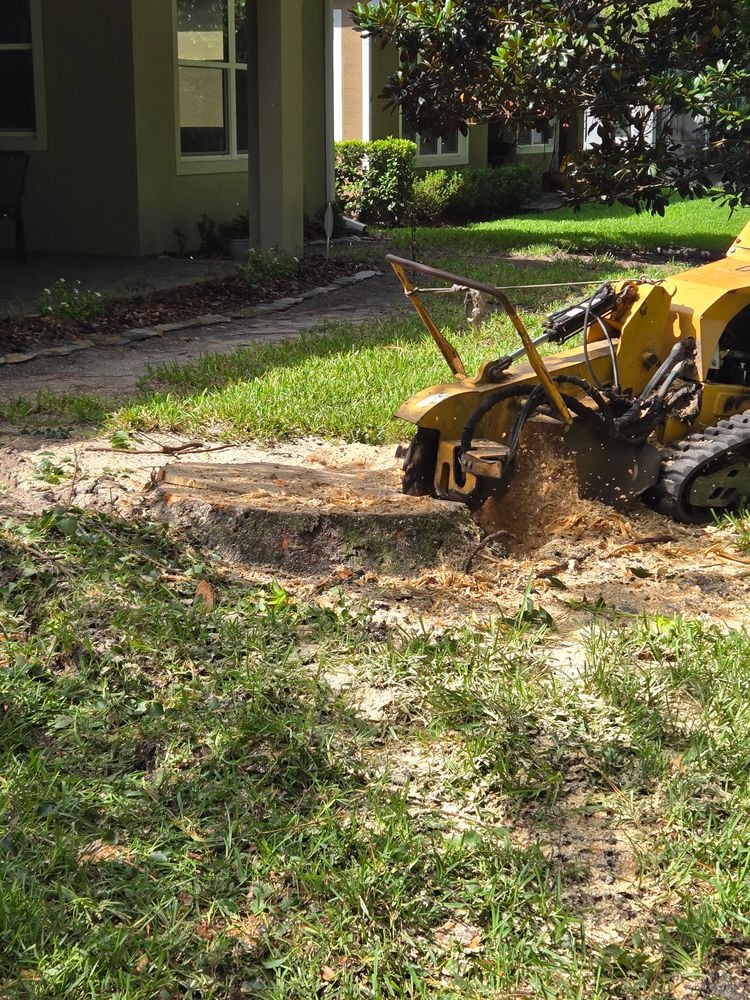 All Photos for Near Me Tree Service, Inc. in DeLand, FL