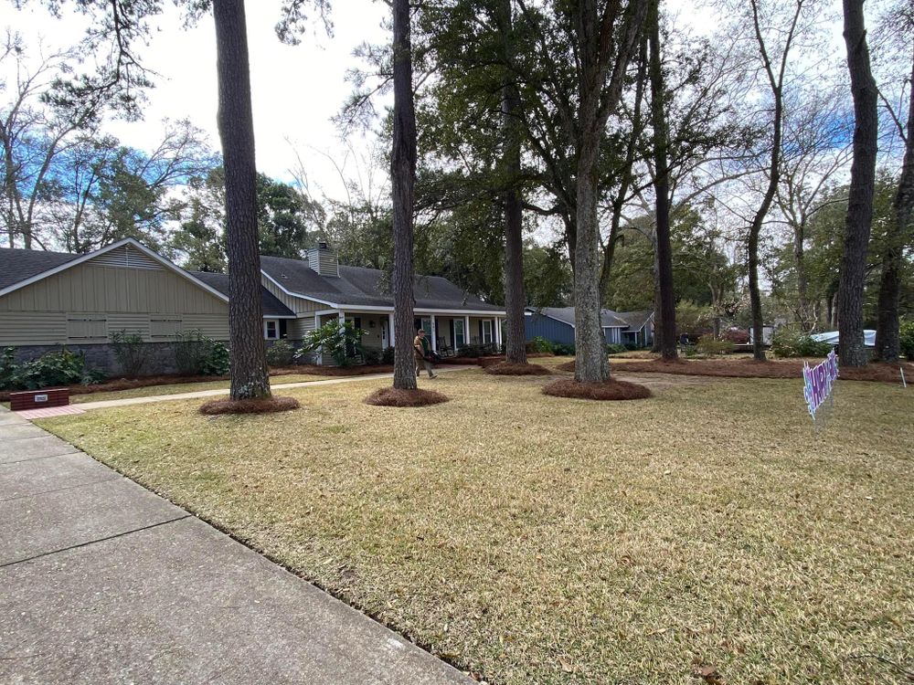 All Photos for All-Star Lawn Care & Soft Washing in Mobile, AL