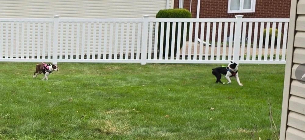 All Photos for Backyard Fence Solutions LLC in Uniontown, PA