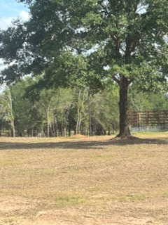 All Photos for JM Services in Woodville, TX