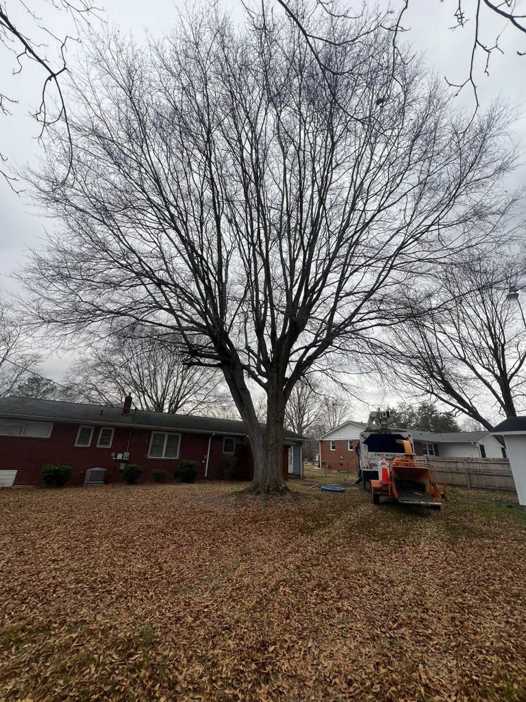 All Photos for Brooks Tree Service in Casar, NC