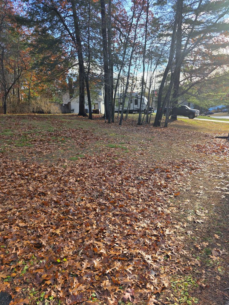 All Photos for Sweet Scapes in Ballston Spa, NY