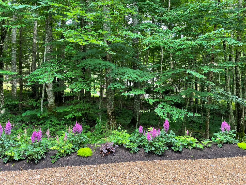 All Photos for Sustainable Lawn and Landscape in Banner Elk, NC