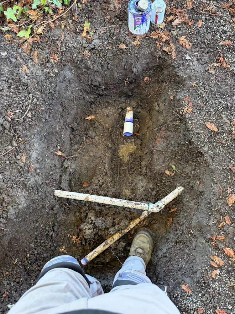 All Photos for CBA Landscaping in Hayward, CA