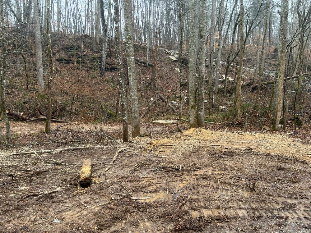 All Photos for Z's Land Management & Forestry Mulching in Smithville, TN