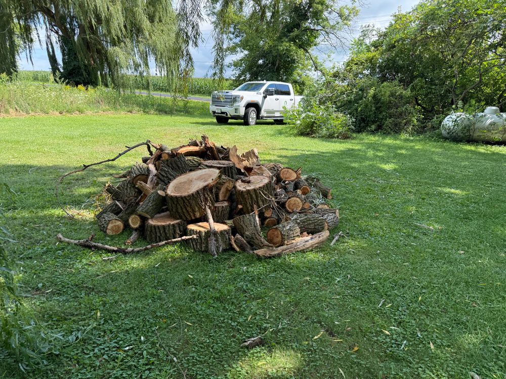 All Photos for Perfect Lawn Solutions LLC in Marshall, WI