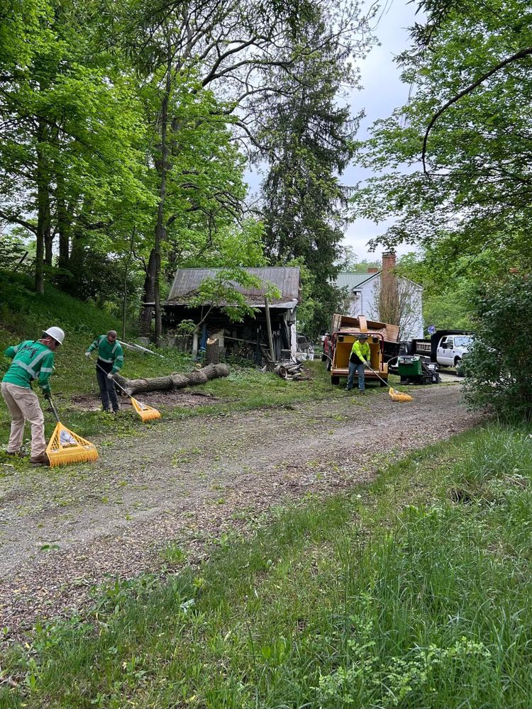 All Photos for NRV Tree Pro, LLC in Narrows, VA