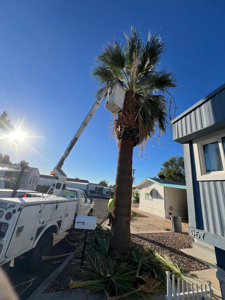 All Photos for Top Notch Landscape Services LLC in Mohave Valley, AZ