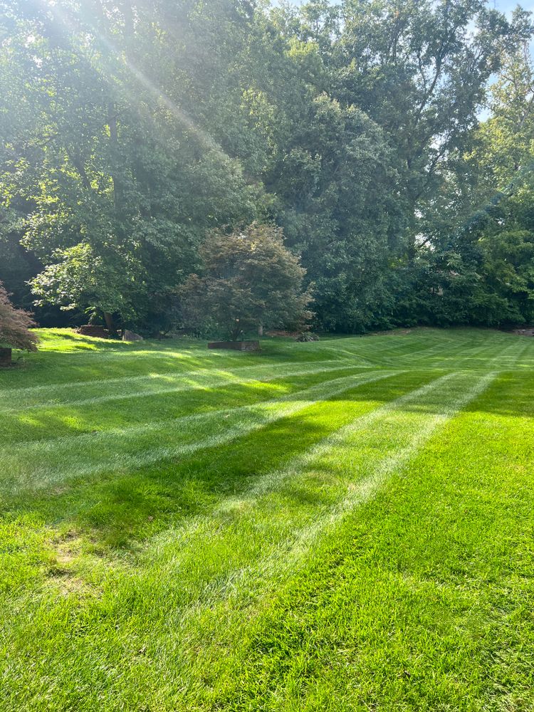 All Photos for Massey Landscaping in Gastonia, NC