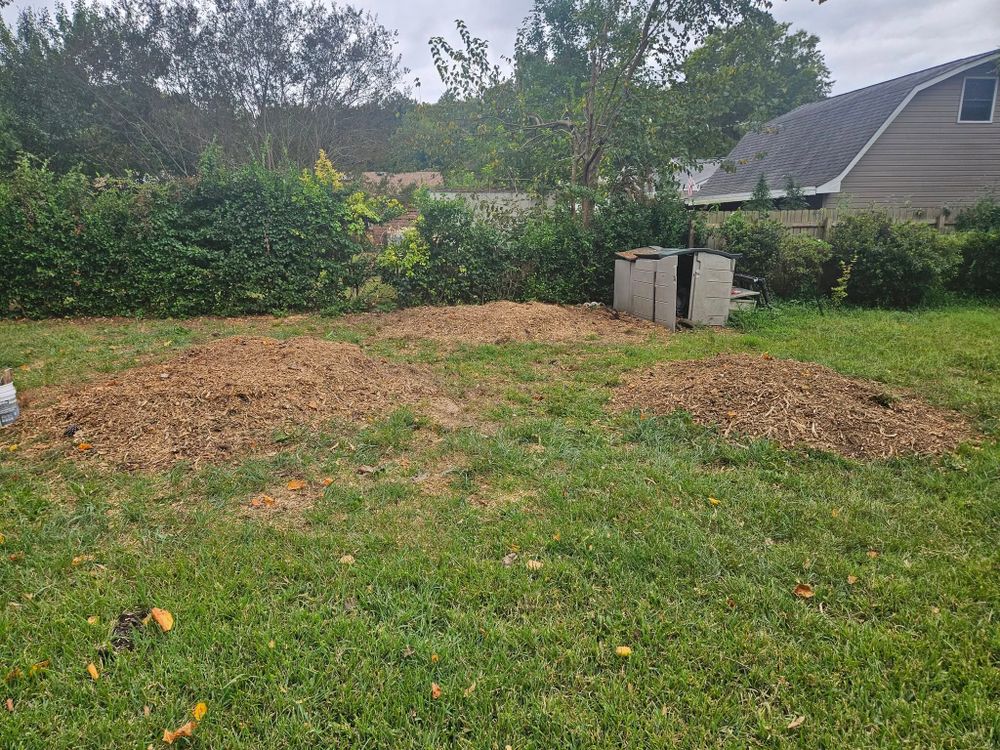 All Photos for Anchor & Grind Stump in Chesapeake, VA