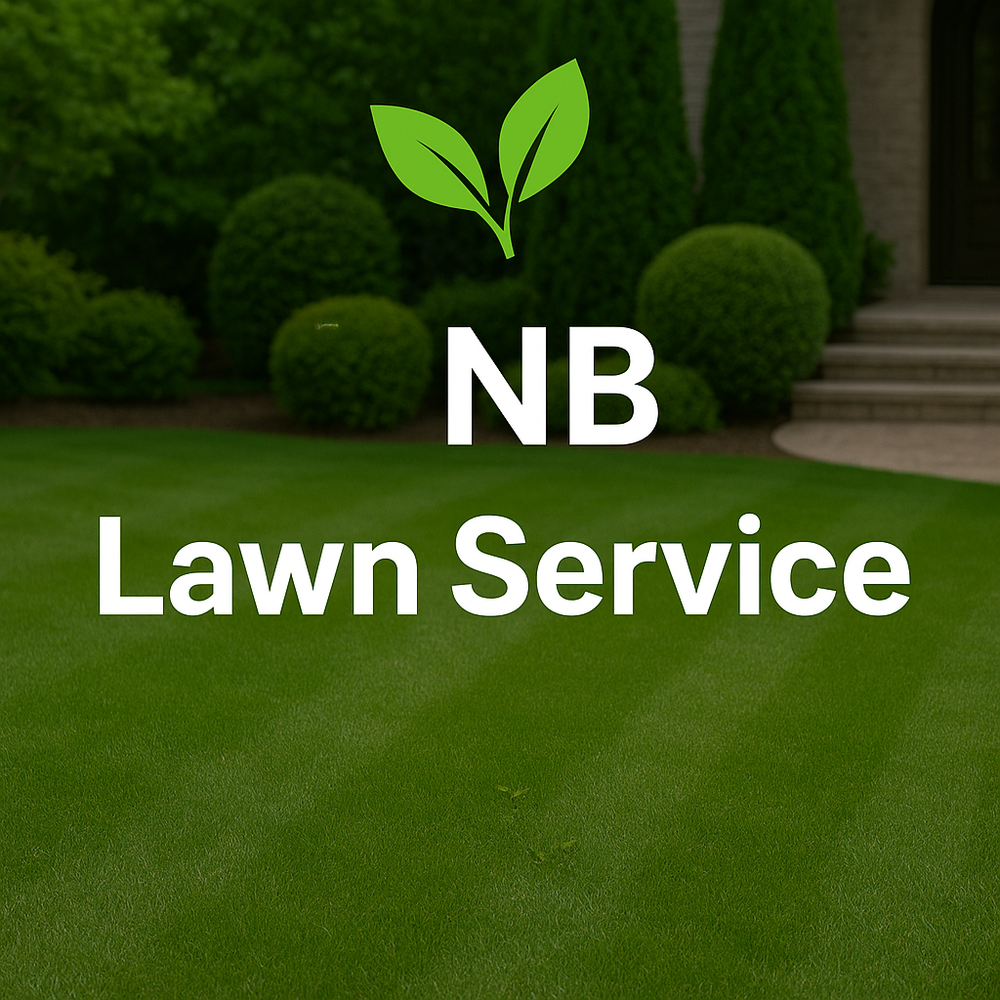 All Photos for New Beginning Landscape & Remodel LLC in Atlanta, GA