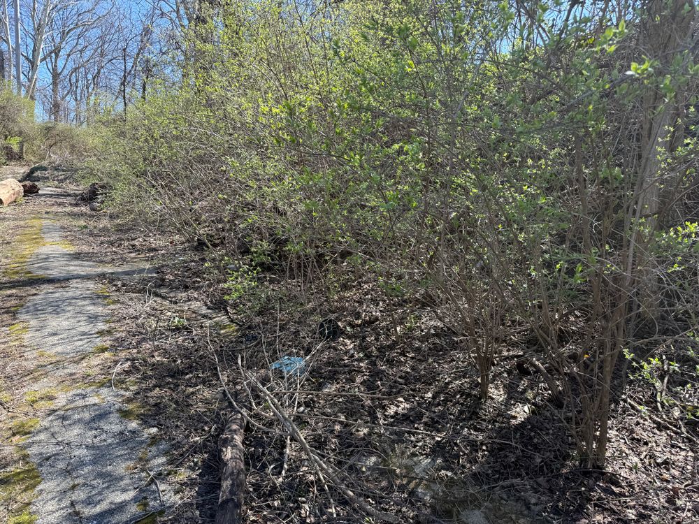 All Photos for A1 Bush Hogging & Lawn Service in London, OH