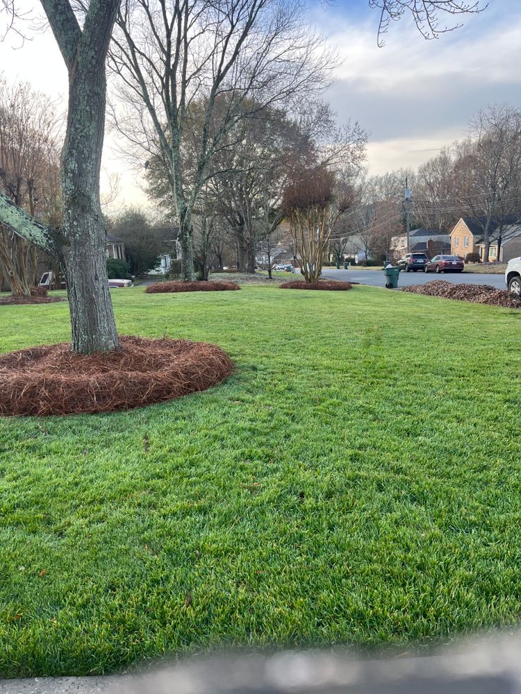 All Photos for Dream Cuts Landscaping and Lawn Care LLC in Gastonia, NC