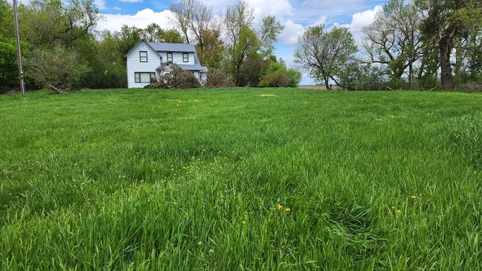 Landscaping for A-N-H Lawn Care in Madison, MN