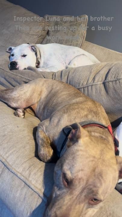 All Photos for Property Perfect LLC in Goffstown, NH