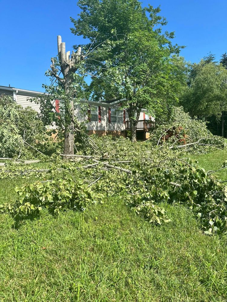 Our Tree Removal service ensures safe, efficient removal of unwanted or hazardous trees, enhancing your property's beauty and safety while minimizing environmental impact through expert care and responsible disposal methods. for Adkins Solutions LLC in Goodview, VA