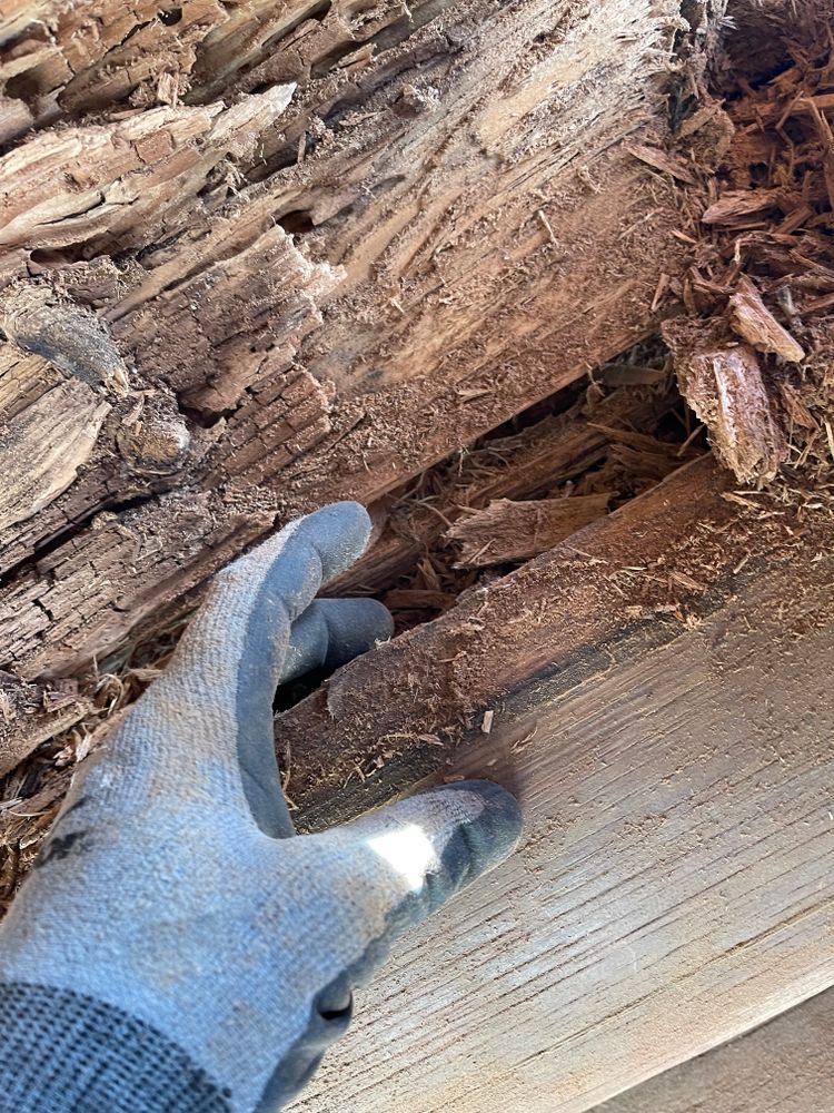 All Photos for Wild West Log home specialists in Corvallis, MT