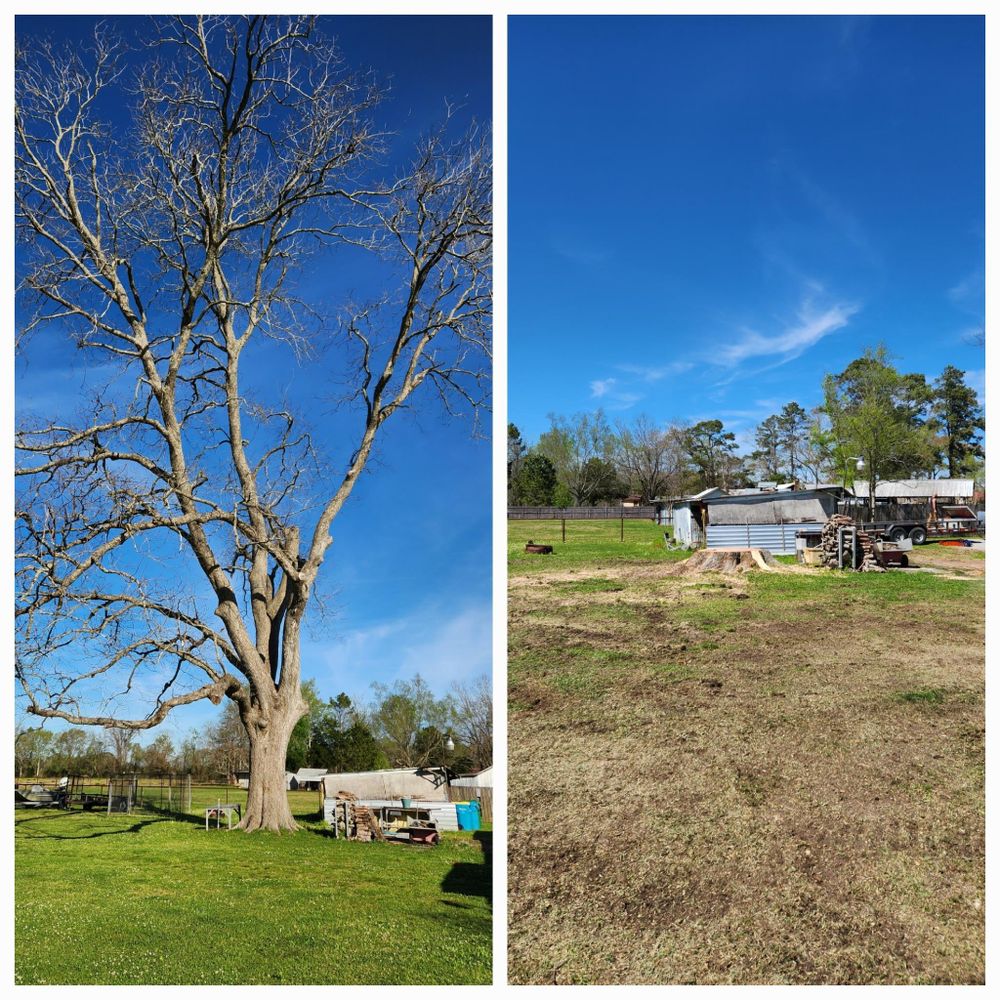 All Photos for Ken's Elite Cutters LLC  in Breaux Bridge, LA