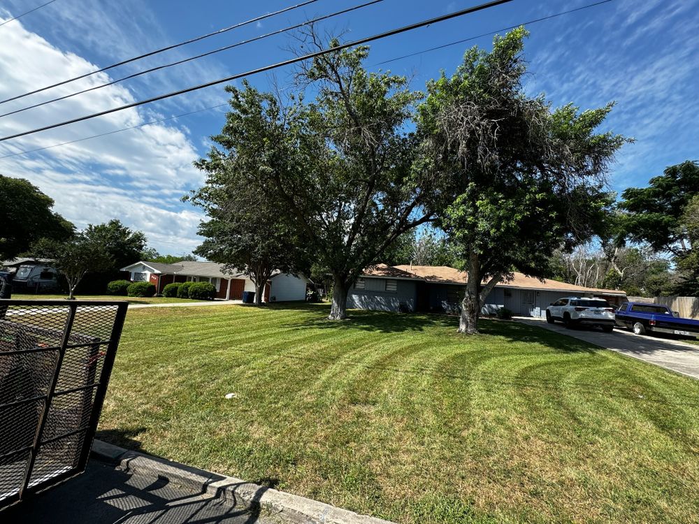 Lawn & Landscaping for Exellent lawn services in San Antonio, TX